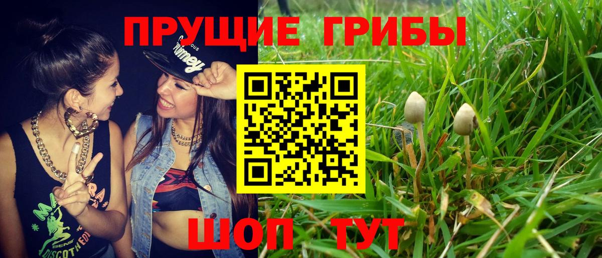 Псилоцибиновые грибы мухоморы Ангарск