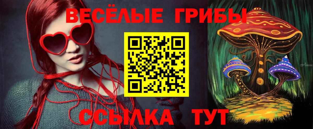 Псилоцибиновые грибы мицелий  закладка  Ангарск  Вход с VPN 
